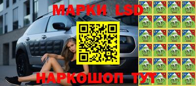 сатива Апшеронск