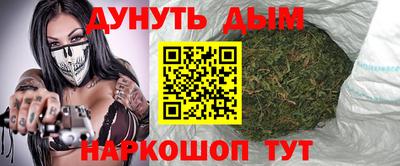 сатива Апшеронск