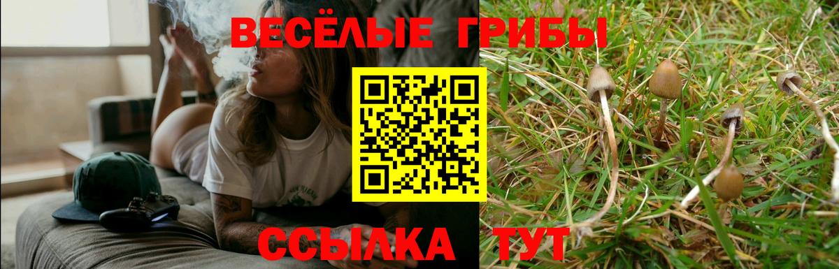 Бийск  Галлюциногенные грибы MAGIC MUSHROOMS  Вход с VPN 